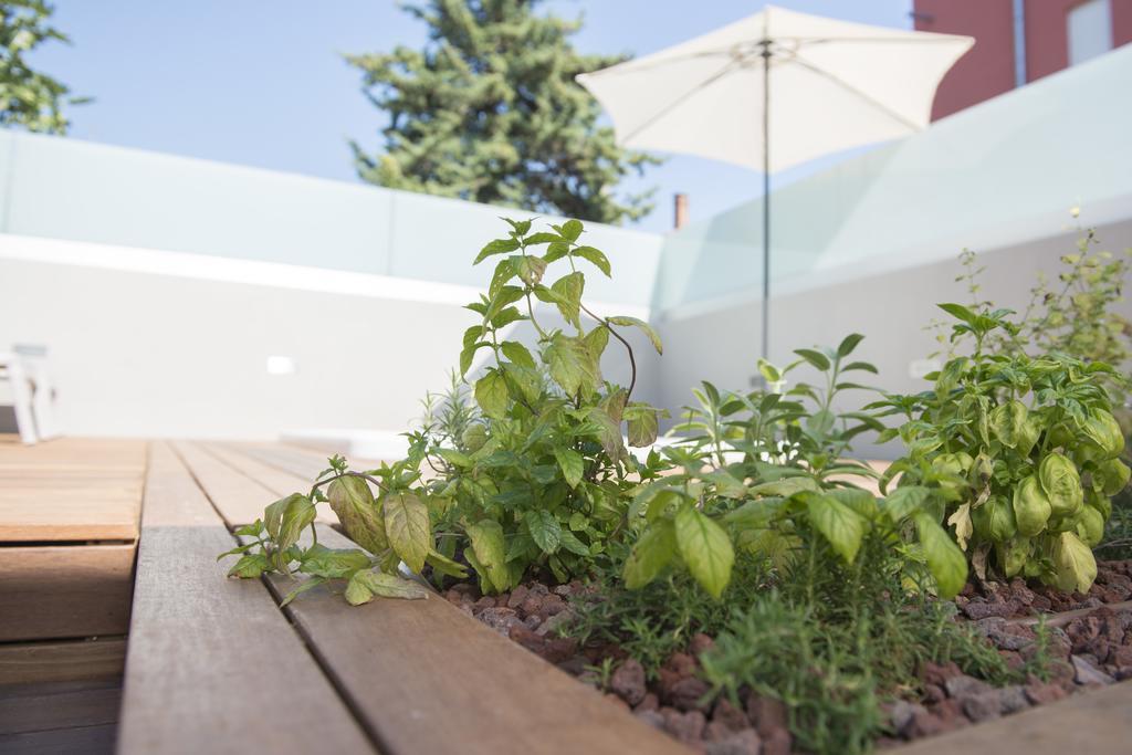 Villa Danex Premium Umag Buitenkant foto